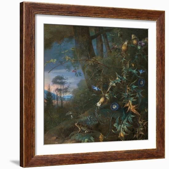 Forest Floor Still Life with a Frog and a Mushroom, Mountains Beyond-Matthias Withoos-Framed Giclee Print