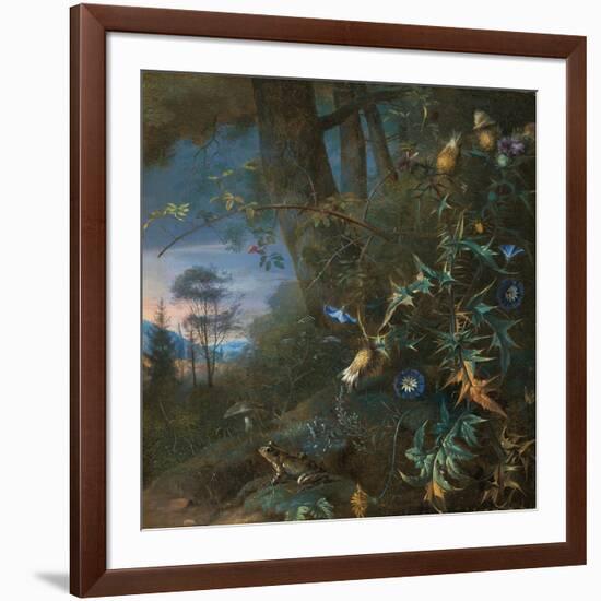 Forest Floor Still Life with a Frog and a Mushroom, Mountains Beyond-Matthias Withoos-Framed Giclee Print