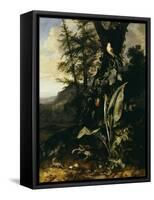 Forest Floor with a Toad and a Lizard, a Bullfinch on a Branch of Ivy Above and a Mountain Beyond-Giovanni Battista Salvi da Sassoferrato-Framed Stretched Canvas