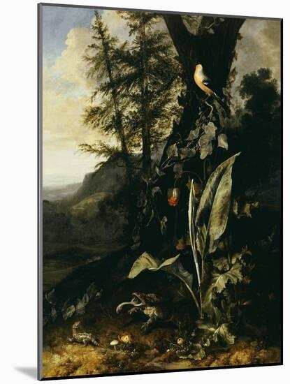 Forest Floor with a Toad and a Lizard, a Bullfinch on a Branch of Ivy Above and a Mountain Beyond-Giovanni Battista Salvi da Sassoferrato-Mounted Giclee Print