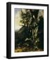 Forest Floor with a Toad and a Lizard, a Bullfinch on a Branch of Ivy Above and a Mountain Beyond-Giovanni Battista Salvi da Sassoferrato-Framed Giclee Print