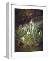 Forest Floor with Snowdrops-Josef Lauer-Framed Giclee Print