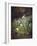 Forest Floor with Snowdrops-Josef Lauer-Framed Giclee Print