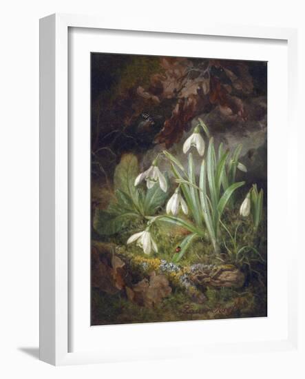 Forest Floor with Snowdrops-Josef Lauer-Framed Giclee Print