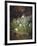 Forest Floor with Snowdrops-Josef Lauer-Framed Giclee Print