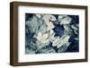 Forest Floor-Incado-Framed Photographic Print