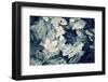 Forest Floor-Incado-Framed Photographic Print