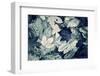 Forest Floor-Incado-Framed Photographic Print