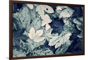 Forest Floor-Incado-Framed Photographic Print