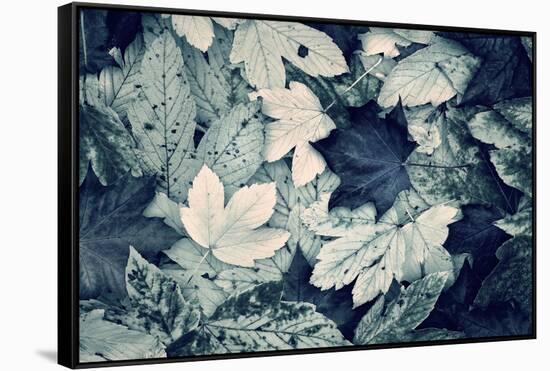 Forest Floor-Incado-Framed Stretched Canvas