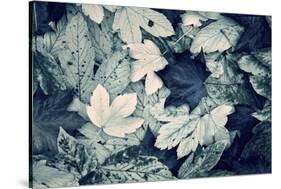 Forest Floor-Incado-Stretched Canvas