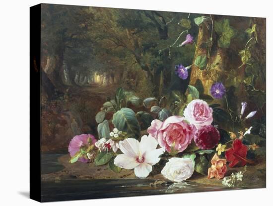 Forest Flowers-Jean Baptiste Claude Robie-Stretched Canvas