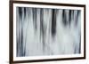 Forest Flurry-Andreas Stridsberg-Framed Giclee Print