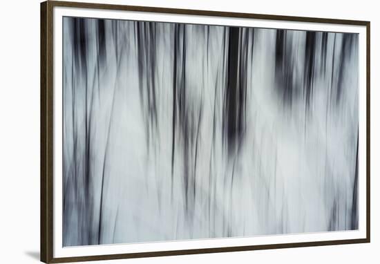 Forest Flurry-Andreas Stridsberg-Framed Giclee Print