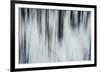 Forest Flurry-Andreas Stridsberg-Framed Giclee Print