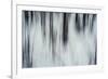 Forest Flurry-Andreas Stridsberg-Framed Giclee Print