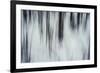 Forest Flurry-Andreas Stridsberg-Framed Giclee Print