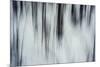 Forest Flurry-Andreas Stridsberg-Mounted Giclee Print