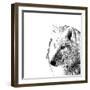 Forest Focus - Wolf-Myriam Tebbakha-Framed Giclee Print