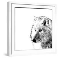 Forest Focus - Wolf-Myriam Tebbakha-Framed Giclee Print