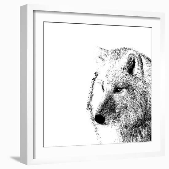 Forest Focus - Wolf-Myriam Tebbakha-Framed Giclee Print