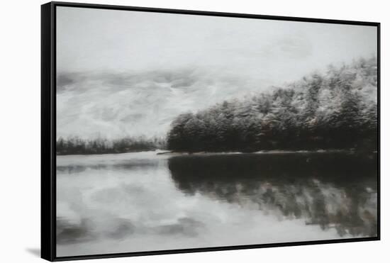 Forest Fog-Kim Curinga-Framed Stretched Canvas