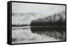 Forest Fog-Kim Curinga-Framed Stretched Canvas