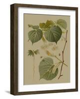 Forest Foliage I-Hempel-Framed Art Print