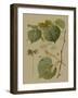 Forest Foliage I-Hempel-Framed Art Print