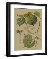 Forest Foliage I-Hempel-Framed Art Print