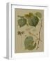 Forest Foliage I-Hempel-Framed Art Print