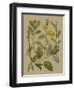 Forest Foliage II-Hempel-Framed Art Print