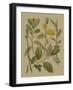 Forest Foliage II-Hempel-Framed Art Print