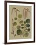 Forest Foliage IV-Hempel-Framed Art Print