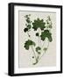 Forest Foliage on Linen IV-Vision Studio-Framed Art Print