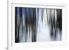 Forest Formation-Andreas Stridsberg-Framed Giclee Print
