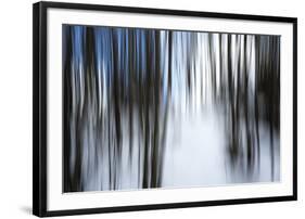 Forest Formation-Andreas Stridsberg-Framed Giclee Print