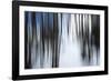 Forest Formation-Andreas Stridsberg-Framed Giclee Print