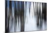 Forest Formation-Andreas Stridsberg-Mounted Giclee Print