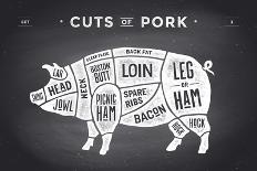 Cut of Meat Set. Poster Butcher Diagram, Scheme and Guide - Pork. Vintage Typographic Hand-Drawn On-Forest Foxy-Mounted Art Print
