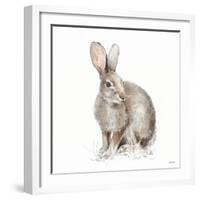 Forest Friends VIII-Lisa Audit-Framed Art Print