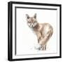 Forest Friends XI-Lisa Audit-Framed Art Print