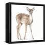 Forest Friends XII-Lisa Audit-Framed Stretched Canvas