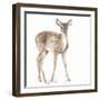 Forest Friends XII-Lisa Audit-Framed Art Print