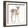 Forest Friends XII-Lisa Audit-Framed Art Print