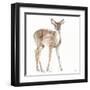 Forest Friends XII-Lisa Audit-Framed Art Print