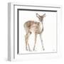 Forest Friends XII-Lisa Audit-Framed Art Print