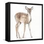 Forest Friends XII-Lisa Audit-Framed Stretched Canvas