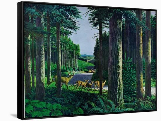 Forest Friends-Stan Galli-Framed Stretched Canvas