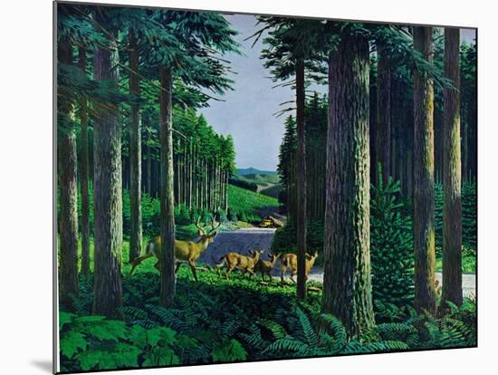 Forest Friends-Stan Galli-Mounted Giclee Print